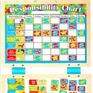 ❤️Magnetic Responsibility Chart❤️ Like New❤️